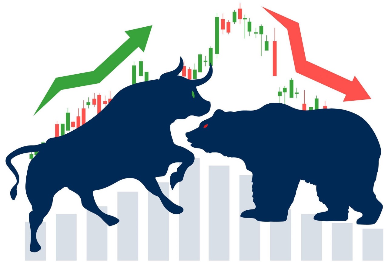 Bulls and Bears Trading Academy logo